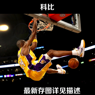 哪里能买到圣华金法律学院文凭毕业证